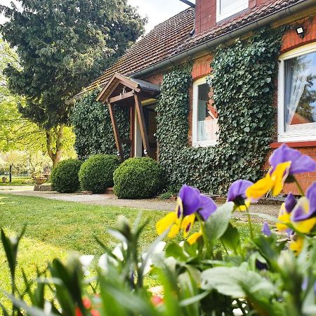Am Alten Haus 알텐메딩겐 외부 사진