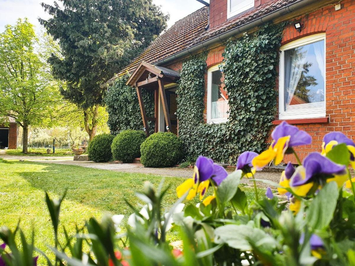 Am Alten Haus 알텐메딩겐 외부 사진
