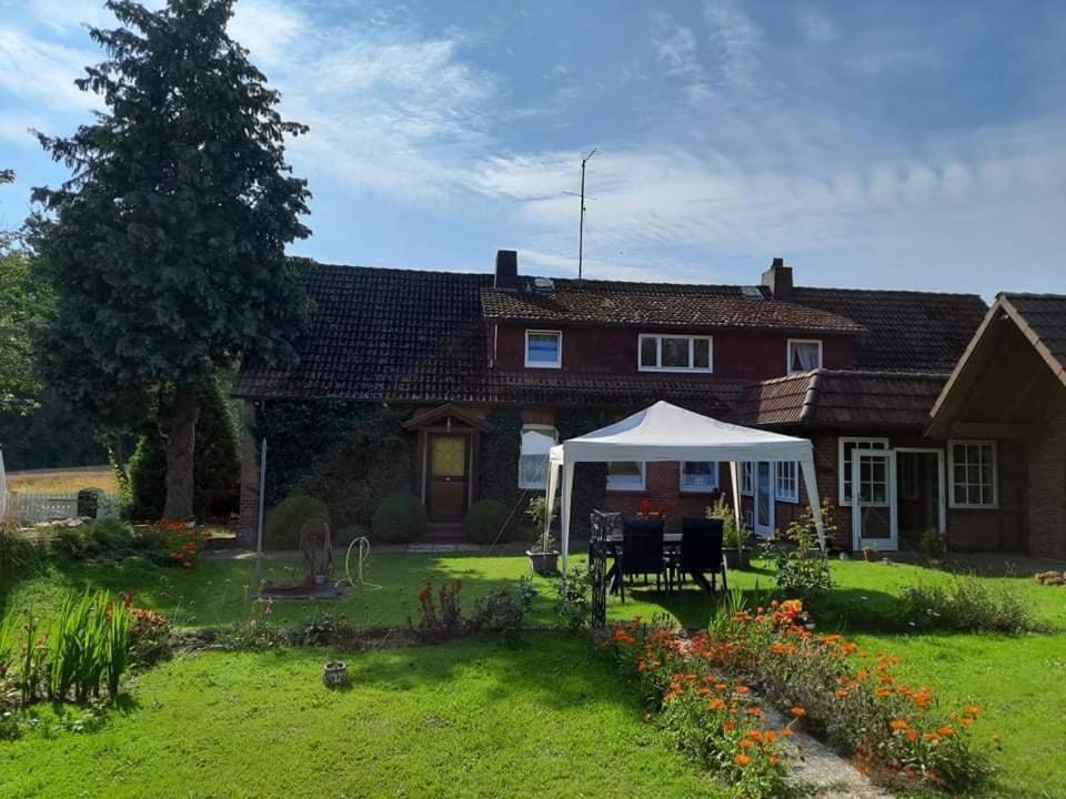 Am Alten Haus 알텐메딩겐 외부 사진