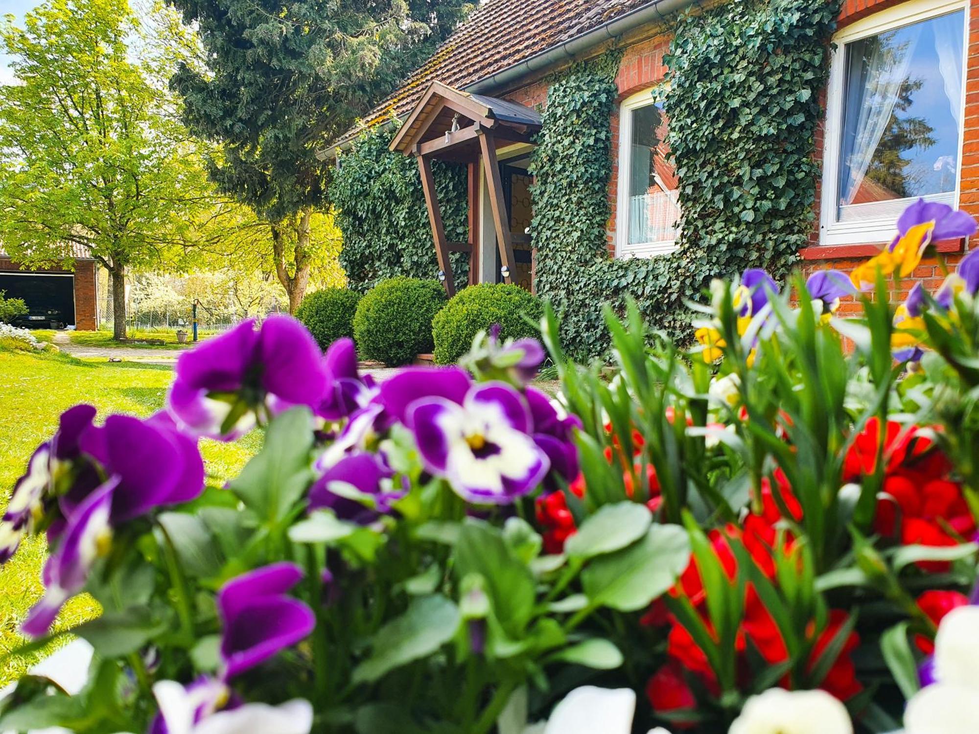Am Alten Haus 알텐메딩겐 외부 사진